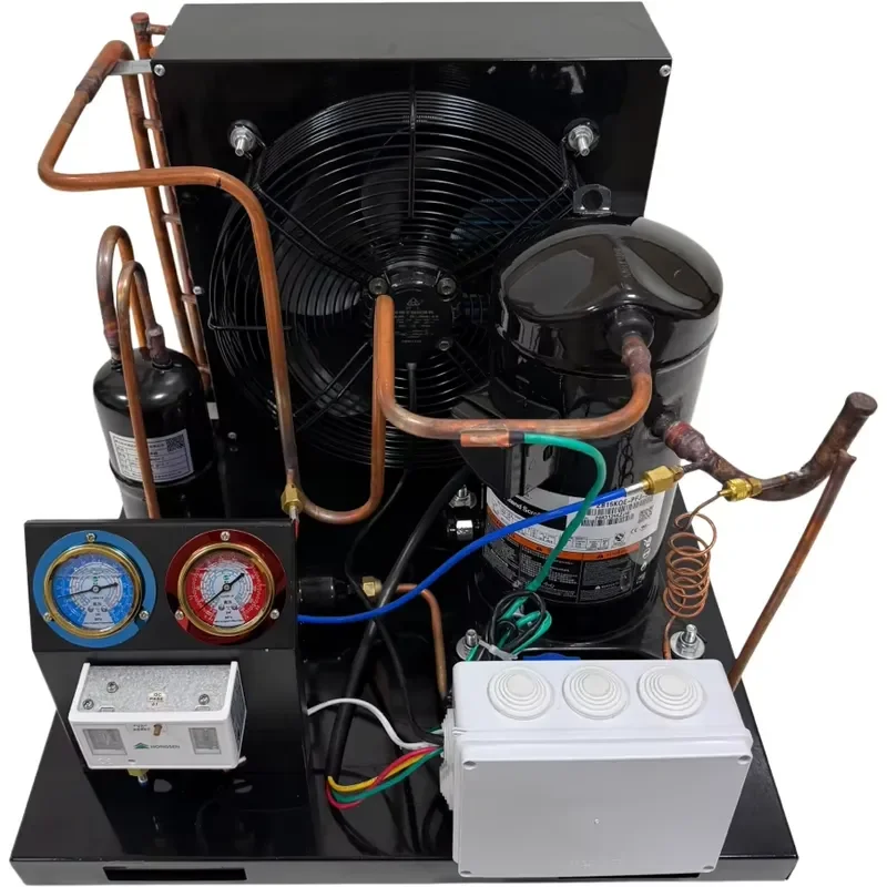 Compressor 20HP 25HP 30HP Bizer Semi-hermetic Piston Compressor R404a R507 Refrigeration Condensing Unit for Outdoor 380V