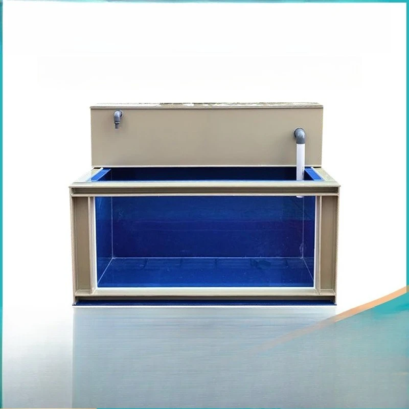 Ornamental fish pond Filter fish tank Koi courtyard Household external wet and dry separation pond