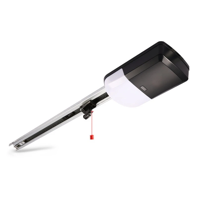 Villa garage door, electric door opener, garage door motor