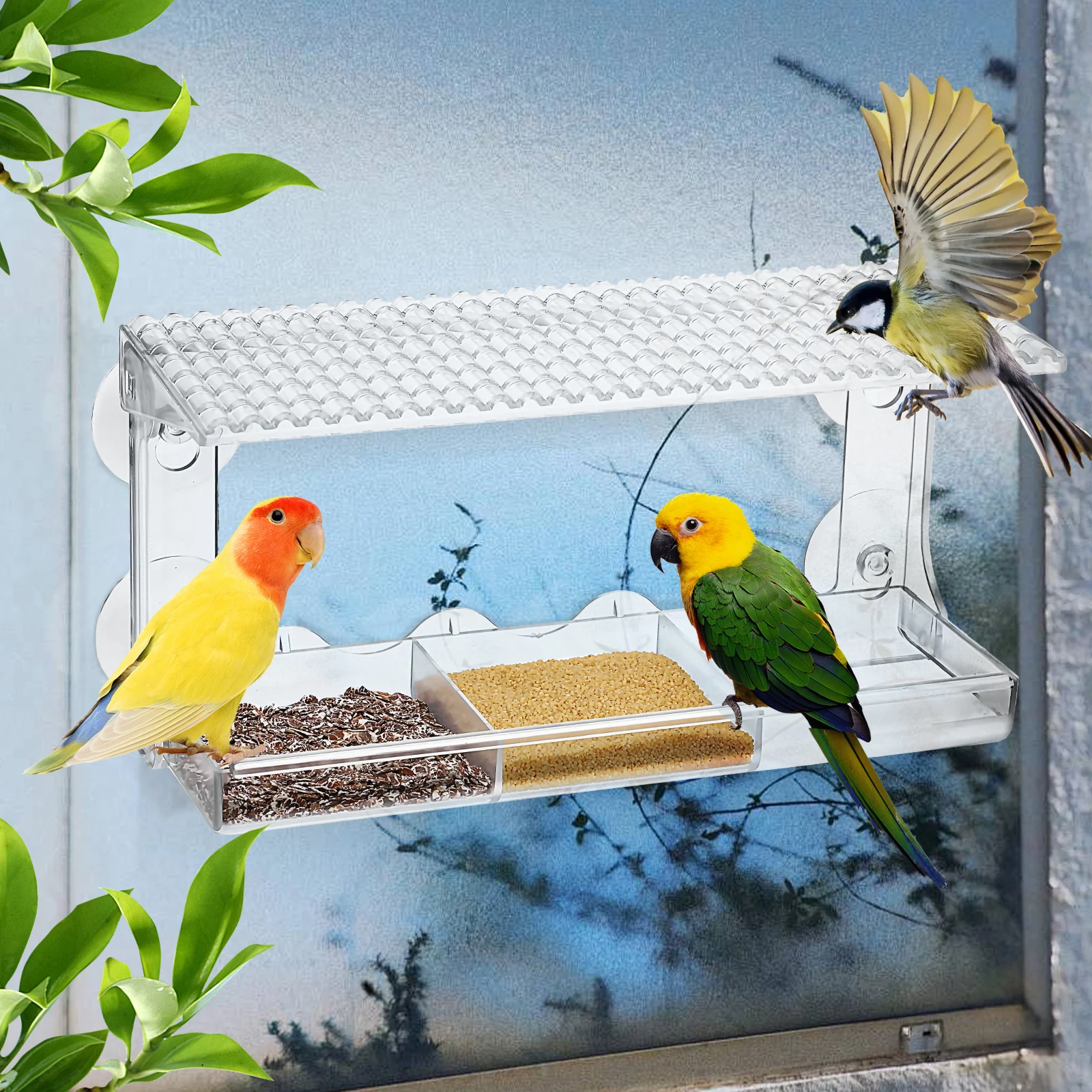 Ventosa para exteriores, plataforma de alimentación de plástico resistente, resistente a la lluvia, montada en ventana, comedero para pájaros salvajes, fácil instalación, Paloma de vista clara