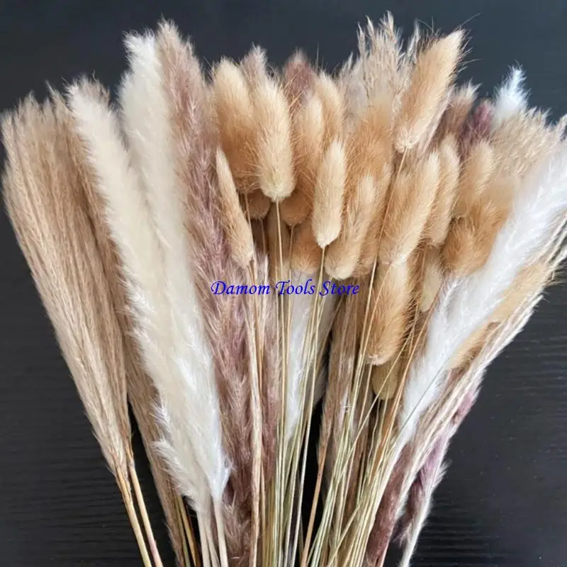 57BE Handmade Dried Floral Display Artistic Look 100pc for Dining Table & Office Area