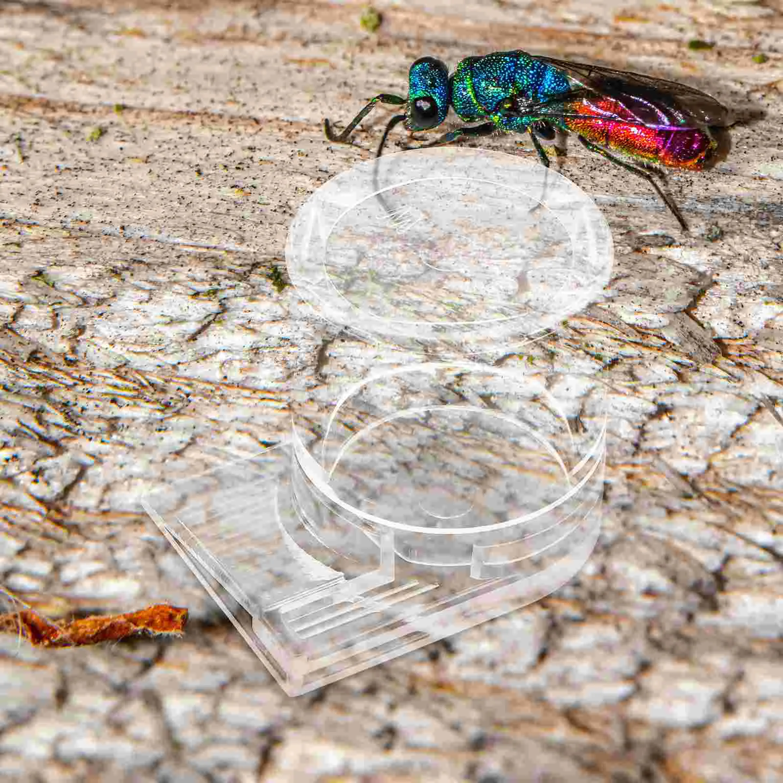 Acrylic Water Feeder Transparent Feeding Bowl Small Acrylic Reptile Feeder Tool ant keeping ant feeder