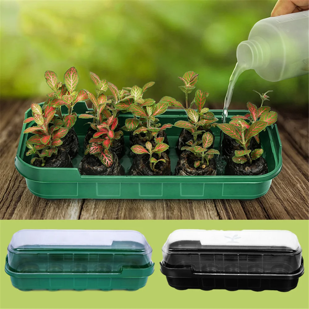 10 Grid Ventilation Germination Box With Ventilation Hole Cultivation Planting Box Square Round Seedling Starter Tray