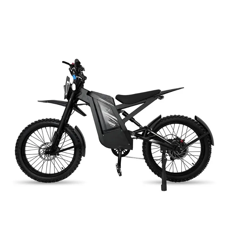 Electric bicycle electric motorbike