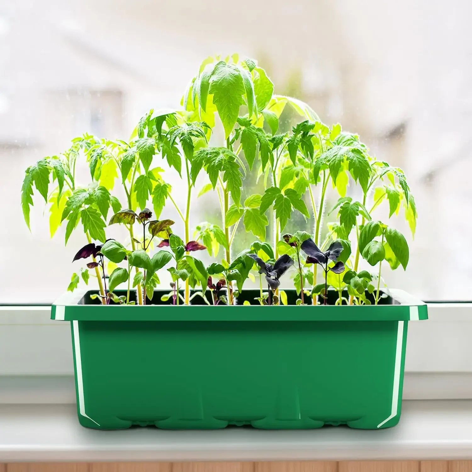 5 10 Pack Seeds Starter Tray With Ventilation Hole 12 Grids Growing Cultivation Planting Box Mini Greenhouse Plant Starter Kit