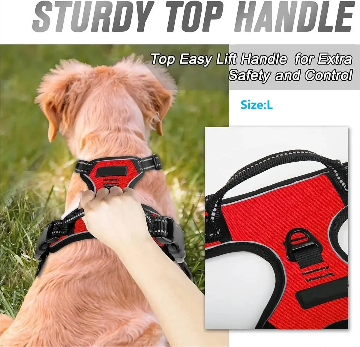 

Dog Collars Harness Big Vests Leash Pet Shop Everything for Dogs Leather Puppy Accessories Medium Small Set