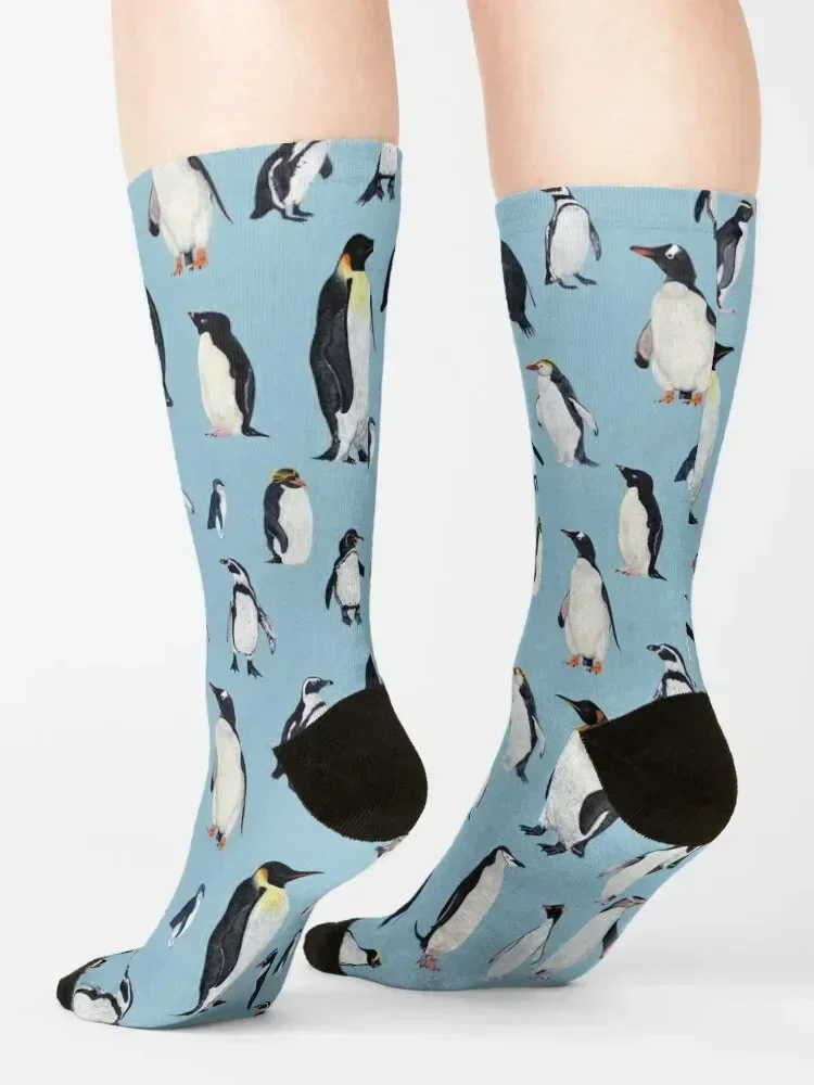 PENGUINS of the world- poster heights Socks warm winter professional running custom custom sports Woman Socks Men's
