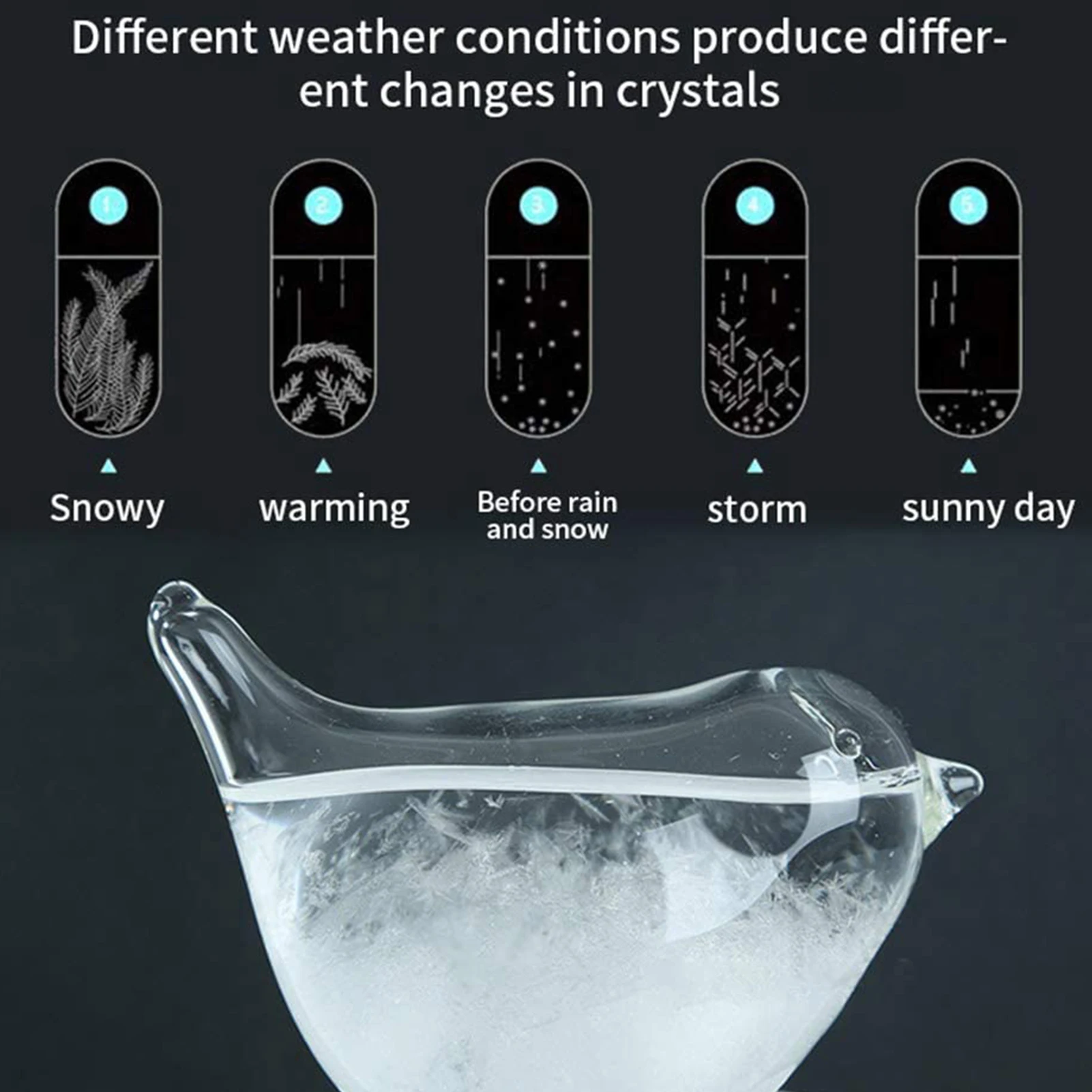 Storm Glass Bird-Shape Glass Weather Forecaster European Style Gifts Storm Crafts Tabletop Decoration Glass Barometer