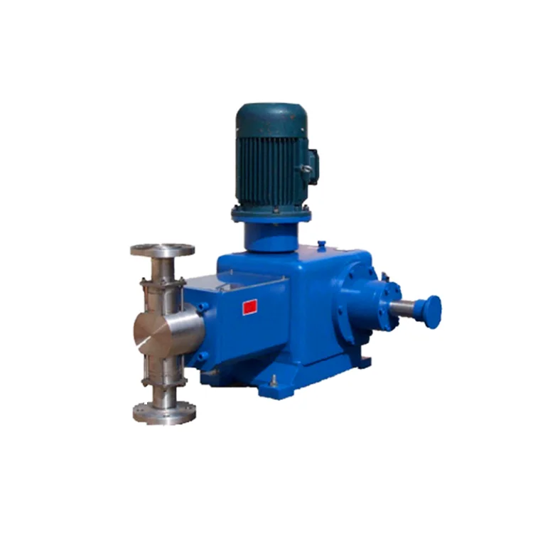 

220V Mechanical Dosing Metering Pump with Copper Motor Diaphragm Outlet Type Rated Power Supply OEM Application