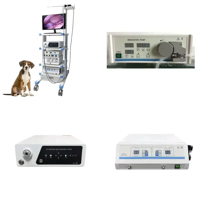 Sistema Completo de Torre de Endoscopia IN-P3000 com Fonte de Luz