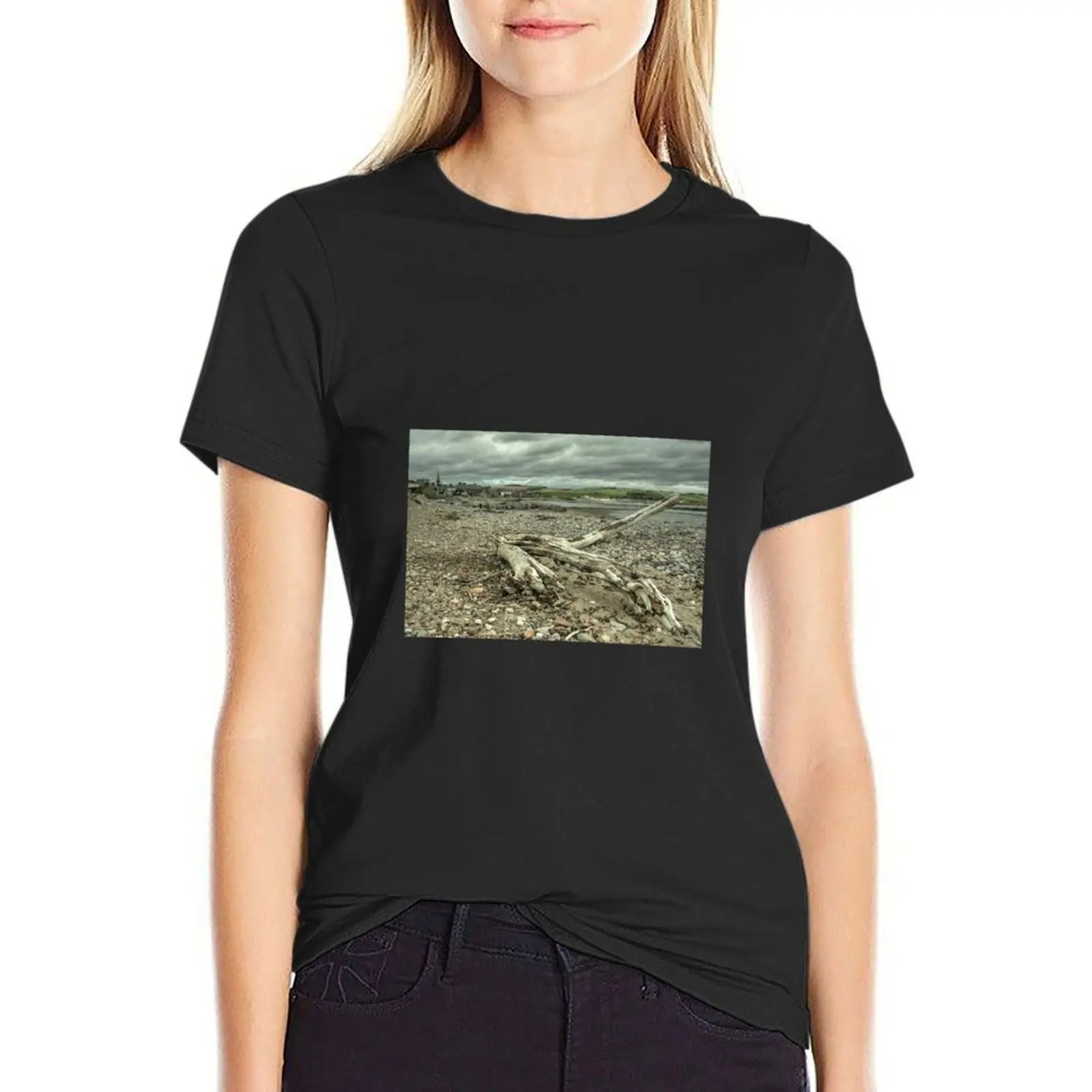 

Stonehaven Driftwood T-Shirt sublime animal prinfor customizeds korean Women's clothes