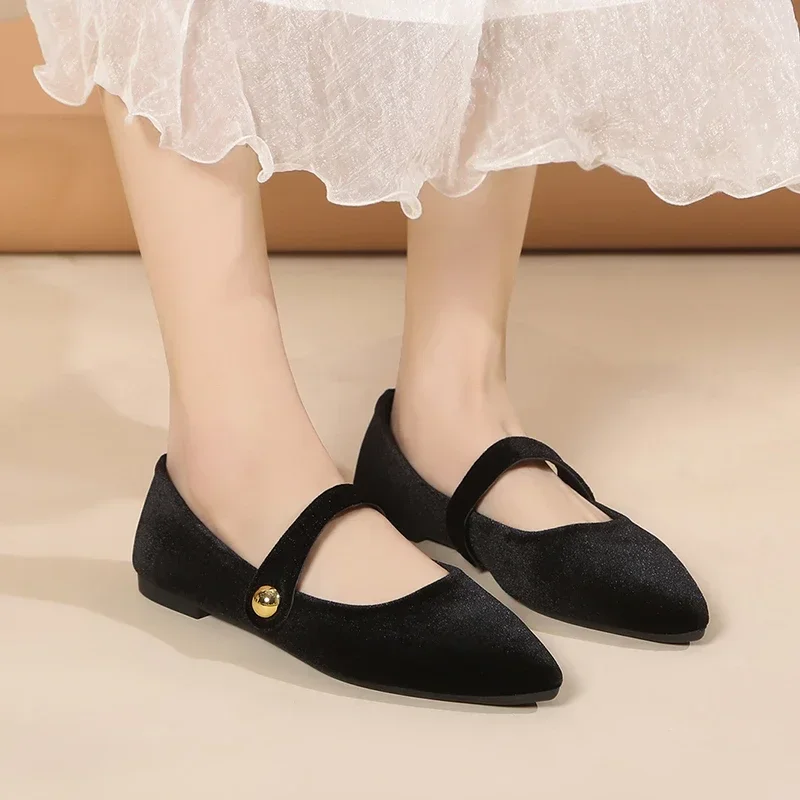 New Fashion Women's Pointed Toe Flat Shoes with Velvet Matte Finish Single Women Comfort Loafers Shoes Leather Mary Jane Shoes