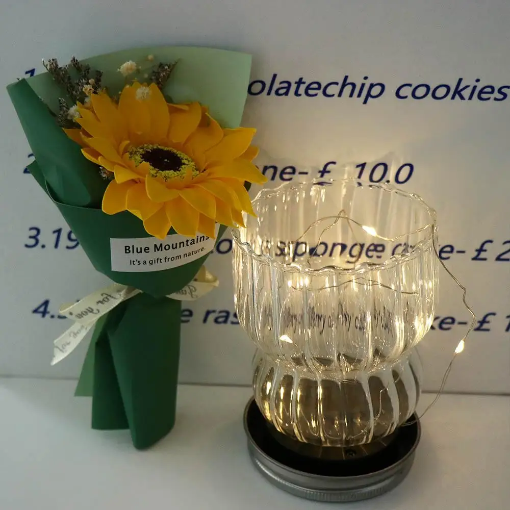 Solar Light Mason Jar Lamp 10 LED Plastics LED Light Firefly Lamp Night Light Intelligent String Lamp Christmas