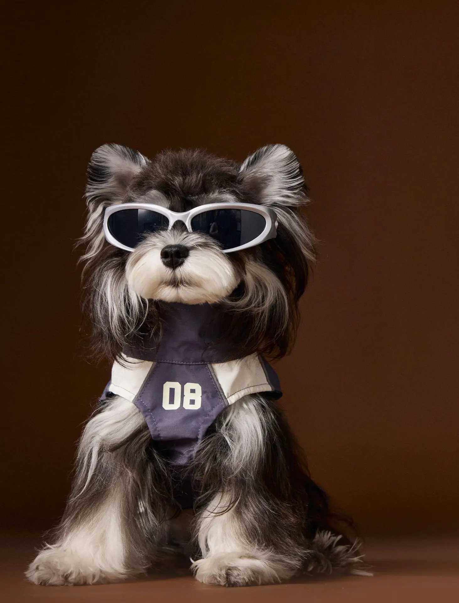 

Fashionable Casual Sportswear Pets Coat Hiking Clothes Small Dogs Vest Jack