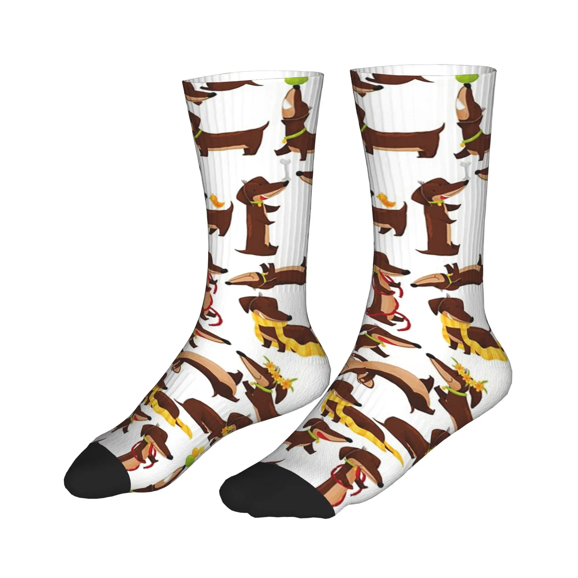 

All Seasons Stockings Funny Dachshund A Cute Cartoon Dog Pattern Sport Socks Funny Middle Tube Socks for Men Women