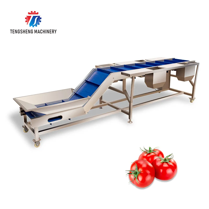 

Industry Fruit Conveyor Vegetable Food Elevator Inclined Belt Conveyor For Food