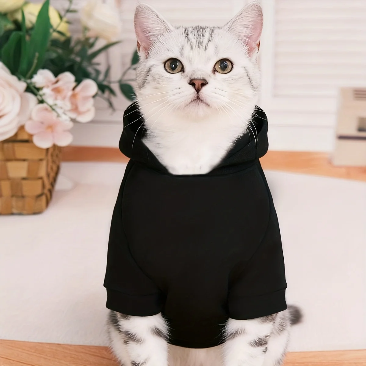Haustier Katze Herbst/Winter Neuer schwarzer Kapuzenpullover mit Fleecefutter, zweibeiniges Sweatshirt mit Buchstabendruck für kleine bis mittelgroße Hunde