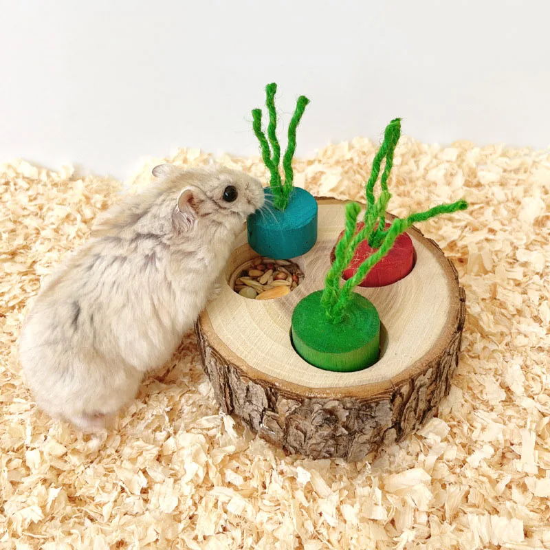 Wooden Hamster Toy Hamster Golden Bear Foraging Gnawing Grinding Teeth Wood Bite String Snack Box Hamster Landscaping Supplies view 4