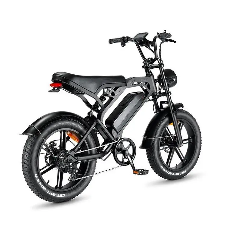 

V20 Power E-Bike: 20" Fat Tire, 250W, 48V Mountain Electric Bicycle with Off-Road Capabilities for Adult Cyclists