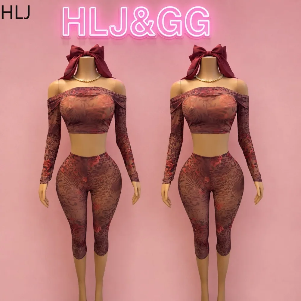 HLJ Vintage Sexy Floral Leopard Print 2 Piece Set Mesh Off Shoulder Long Sleeve Crop Top and Pants Matching Streetwear Outfits