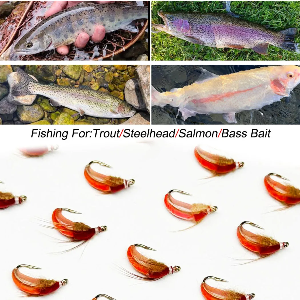 Fliegenfischen-Köder 10 Stück (mit Fliegenbox) Scud Nymph Red Bait Künstlicher Trockenköder für Forellen- und Barschangeln – Detail 6