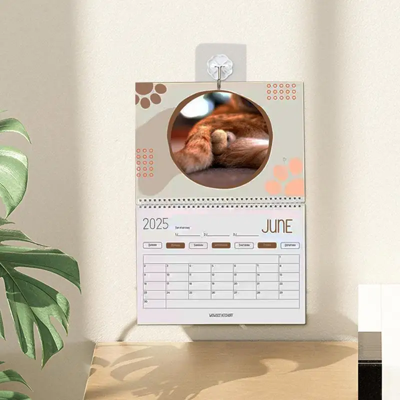 2025 Funny Calendar 12 Months January To December Calendar Cute And Aesthetic Decoration Cat Balls Calendar For Organizing &