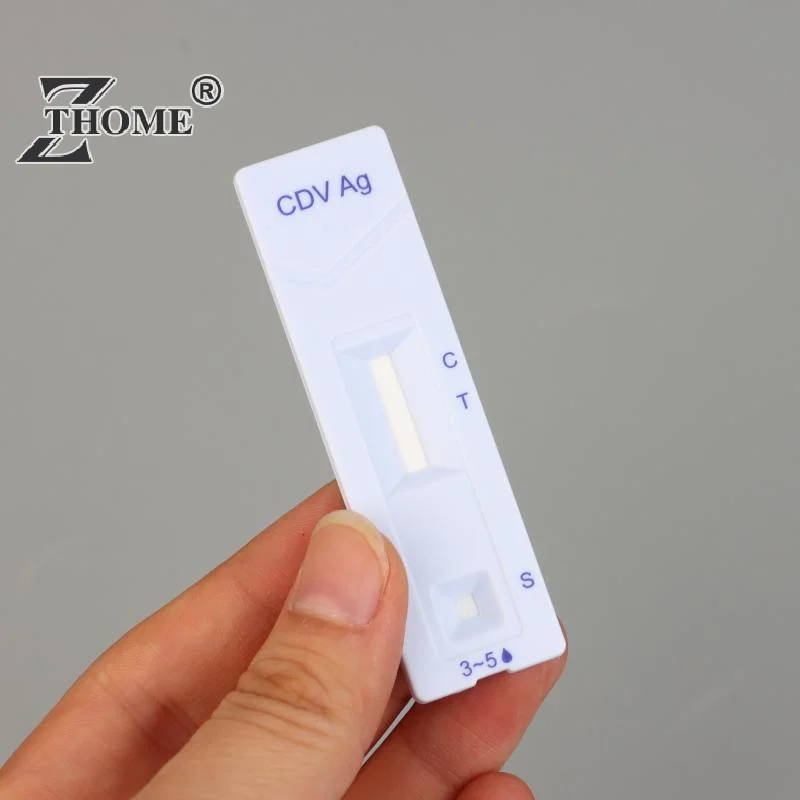 

1 Set Home Dog Or Cat Urine Stool Sample Collection Kit Result In 5-10 Minutes For CPV-CDV-FPV Pet Test Kits