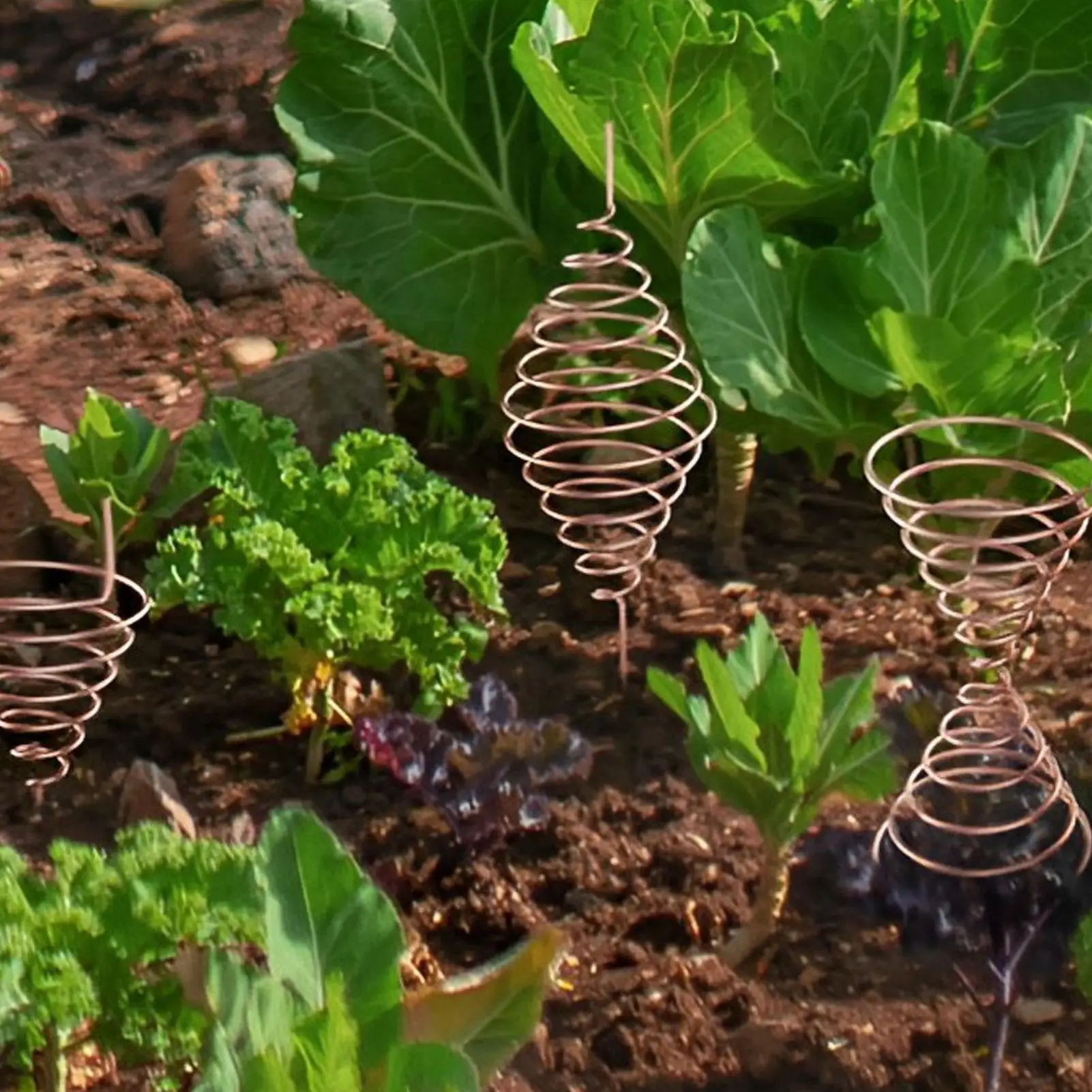 Copper Wire Clamp Reusable Antenna Clip Coil Spiral Grounding Rod Mould Gardening Accessories Vine Support Bracket For Backyard