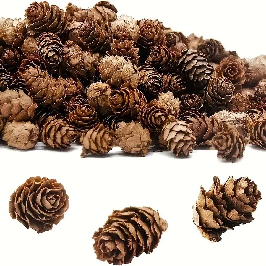 1/5/10/20/50/100pcs Mini Pine Cones, Suitable for Crafts, Christmas Tree Decorations - Perfect Vase Filler, Home And Wedding Dec