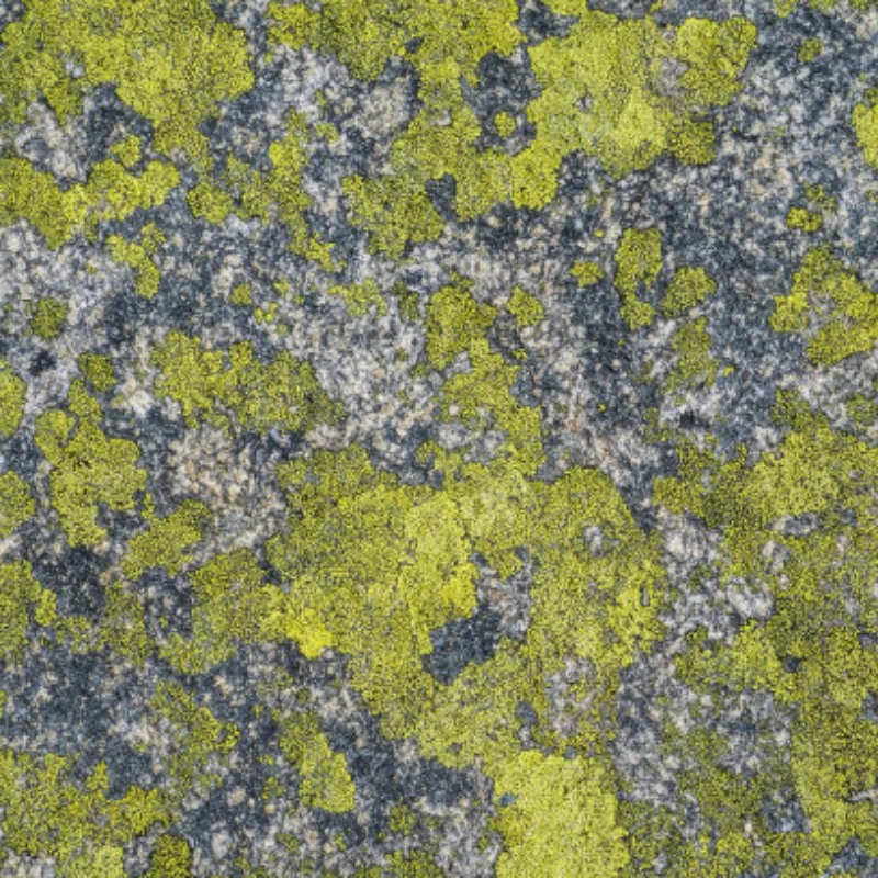 Servo 80kg rc 1/5 servo à prova d'água alto torque 80kg 8.4v metal engrenagem servo digital para redcat hpi baja 5b ss