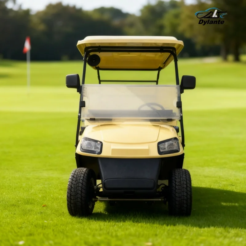 Convertible 6 Seater Electric Car Lithium Battery Hunting Buggy Free Custom Color Electric Golf Cart With Caddy Rest Area