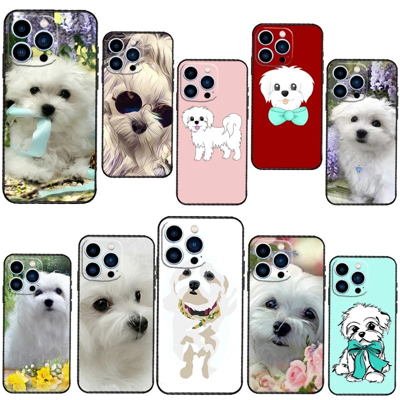 Cartoon Maltese Dog… - image