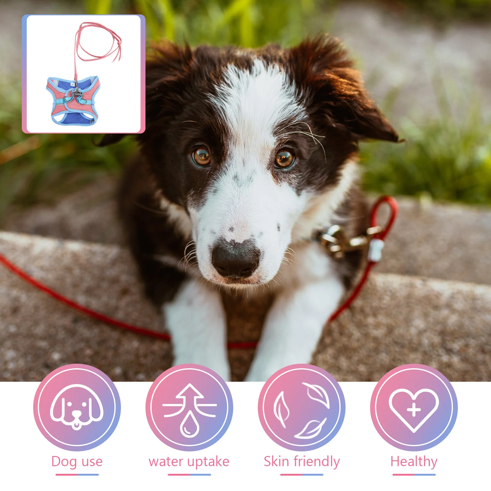 

Pet Harness Vest Leash Set Reflective Breathable Lightweight Durable Safe Chest Strap for Walking Outdoor Activities Cats Dogs