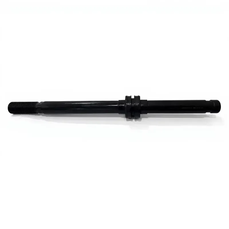 Construction Machinery Spare Parts Piston Rod 10017556 for Concrete Pumps