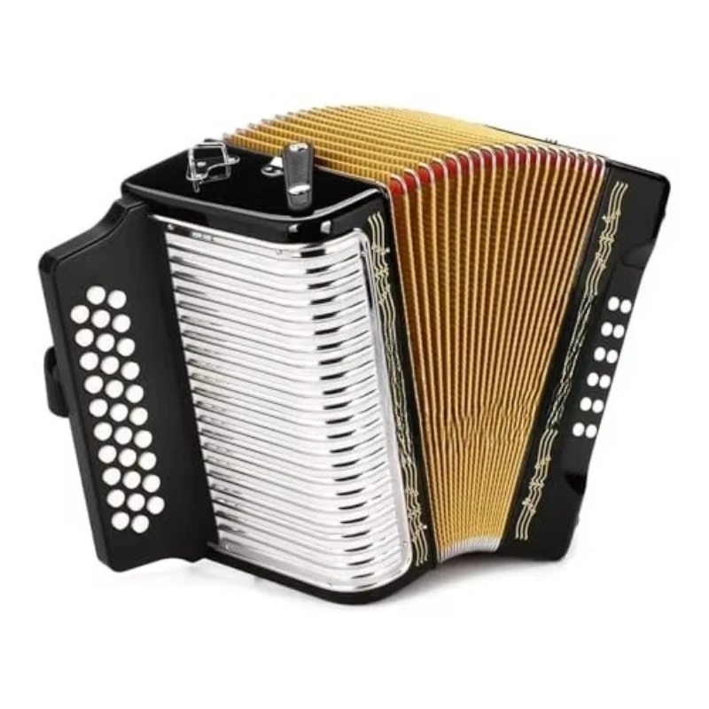 

New V-Accordion FR-8X Black Accordion