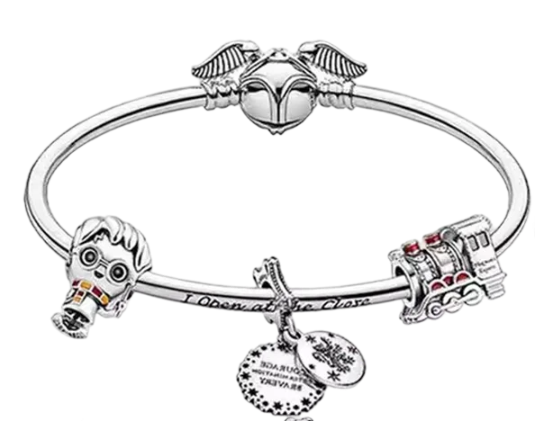 Hot Selling 925 Silver Charm Beads,Suitable For Original European Bracelets,Magic Boy,Train,Pigeon, Jewelry Gifts For Magic Fans