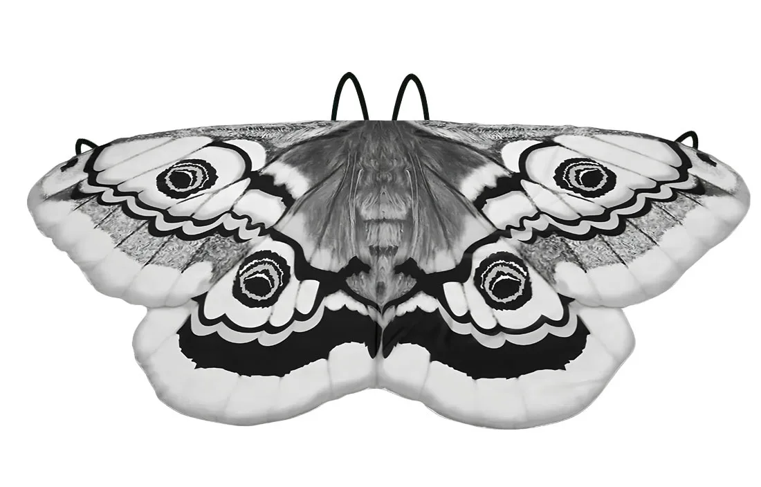 Kids Moth Wings Cape  Butterfly Costume Girl Dress Up Halloween Costumes Dancing Props Cosplay Accessory view 6