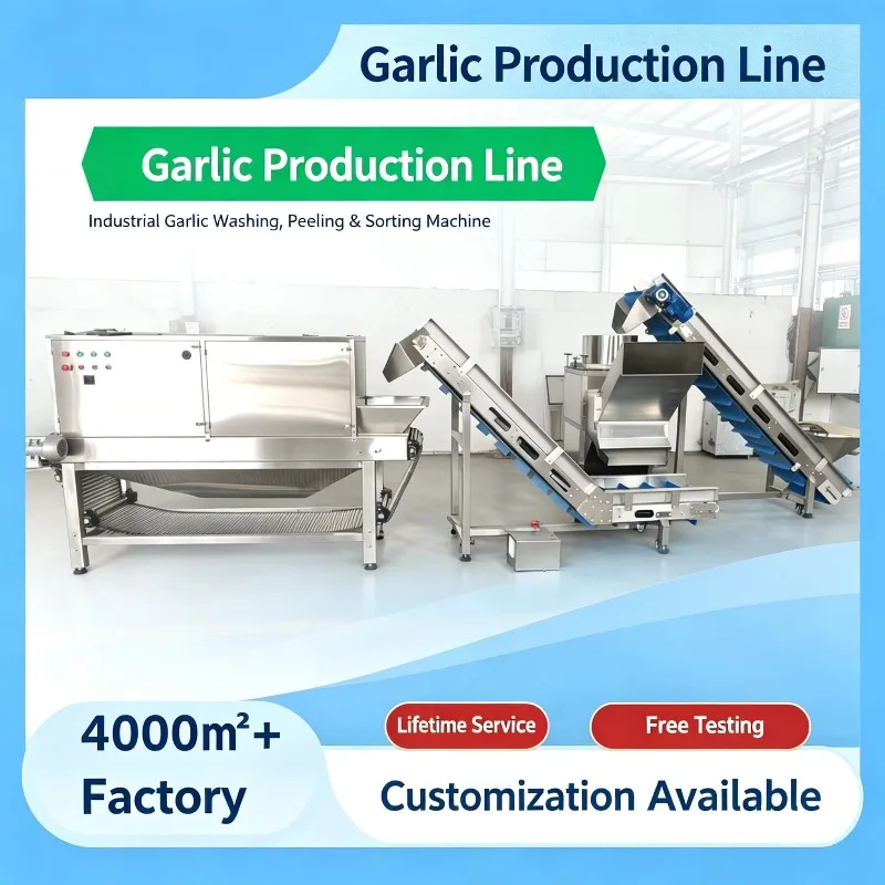 Complete Garlic Peeling Line Clove Separator Dry Skin Remover for Industrial Food Processing Plant Custom