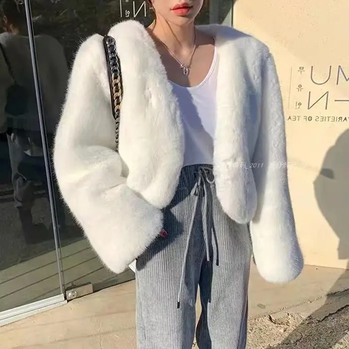 Winter 2024 Fur Coat Pure Retro Plush Short Women\'s Jacket Warm