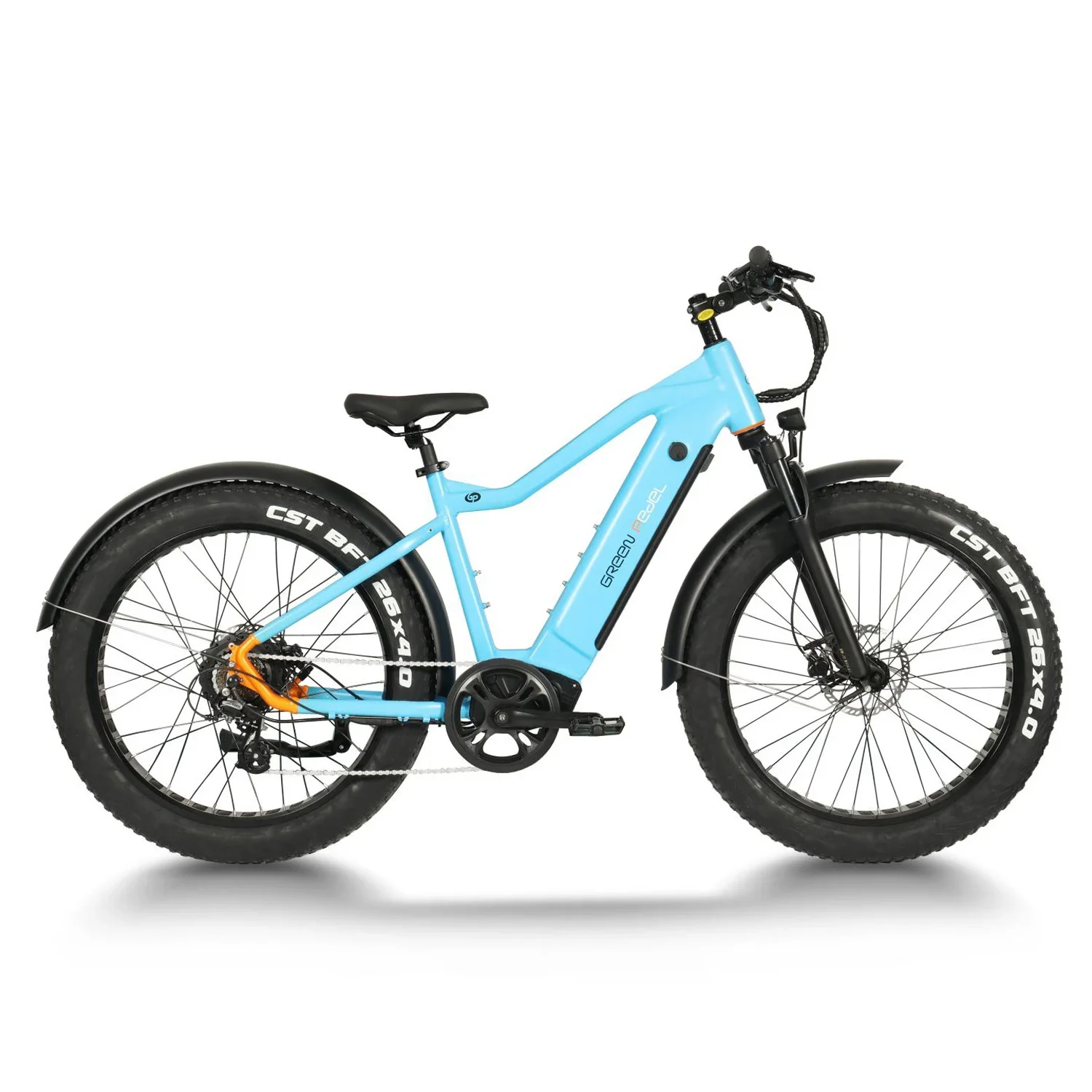 2 wheel electric bike trike 20inch fat tire Electric bike adult mountain electric bike bicycle