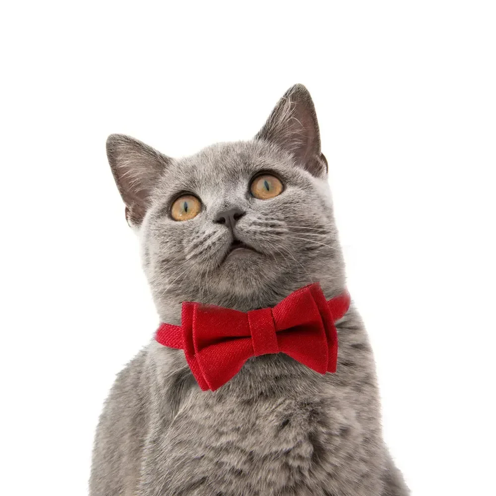 Red Cute Bow Tie Bell Accessories Kitten Adjustable Pet Sucardo Cat Collar Christmas Valentine\'s Day Safety Buckle Separation