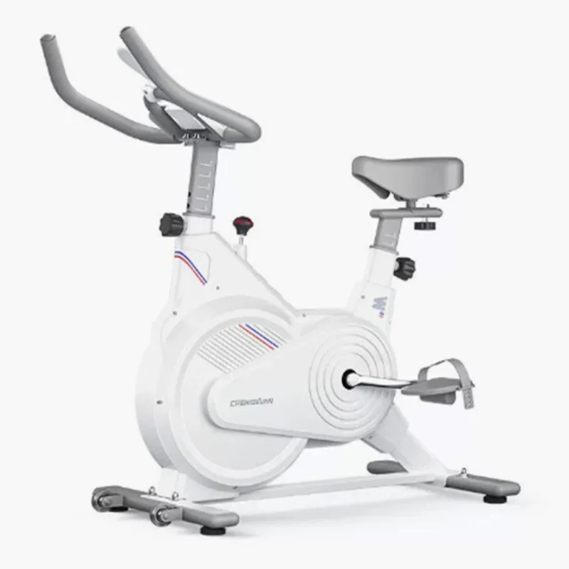 Indoor Stationary Spin Bike, Silent Magnetic Resistance Exercise Bike with LCD Monitor, Home Gym Cardio Workout Equipment