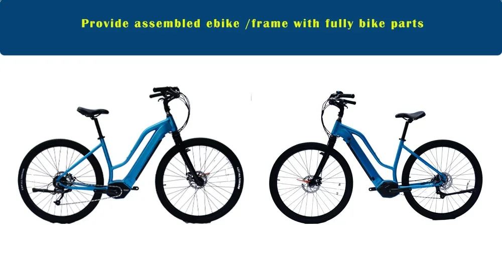 Professional aluminum e-bike frame factory could do OEM or ODM in China