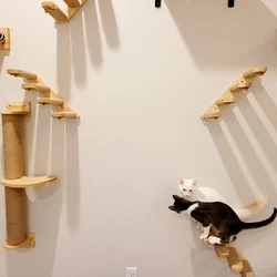 Wooden Cat Wall Mounted Climbing Shelf Set Hammock Perches Ladder Solid Wood Steps Cats Tree Tower Platform Jumping Shelves