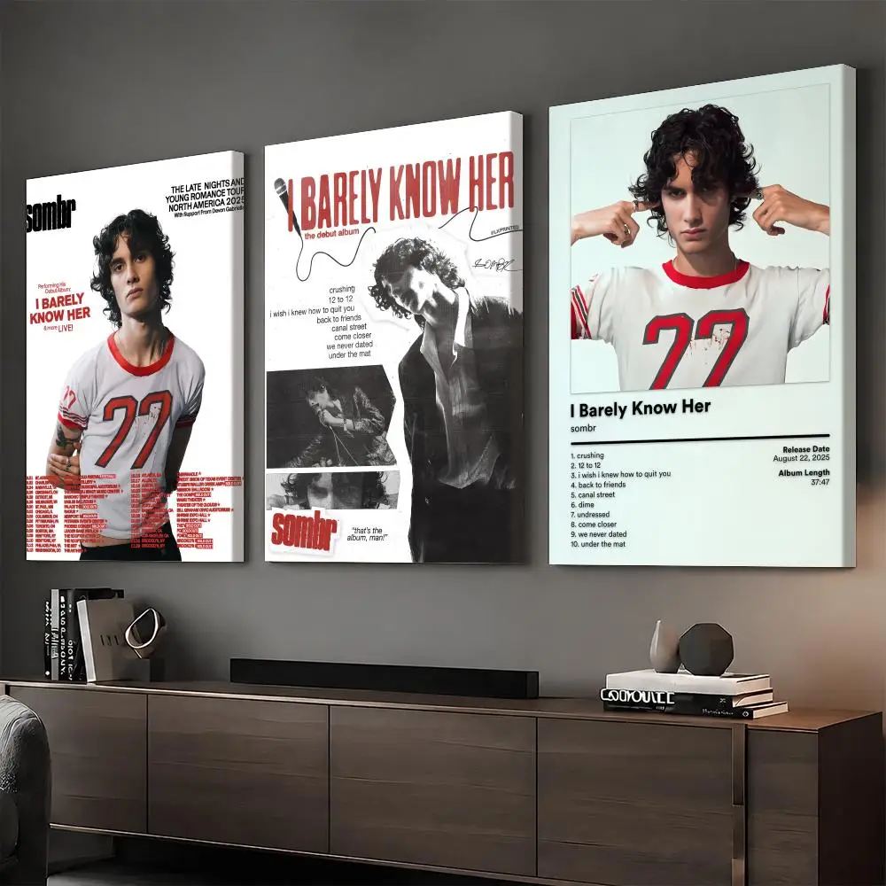 S-Sombr Singer Rapper Painting Calligraphy HD Modern Style Inner Frame Canvas Bedroom Room Hallway Wall Art Decor