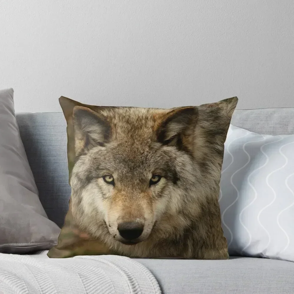 

Undivided attention Throw Pillow Pillowcases For Pillows Embroidered Cushion Cover Christmas Covers pillow