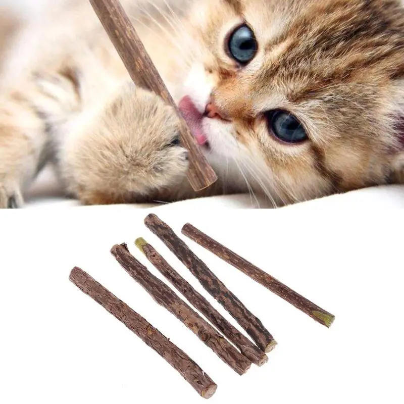 5 Pçs Vara De Limpeza Natural Puro Para Dentes Gatos Molars Palito tooth herb--cat