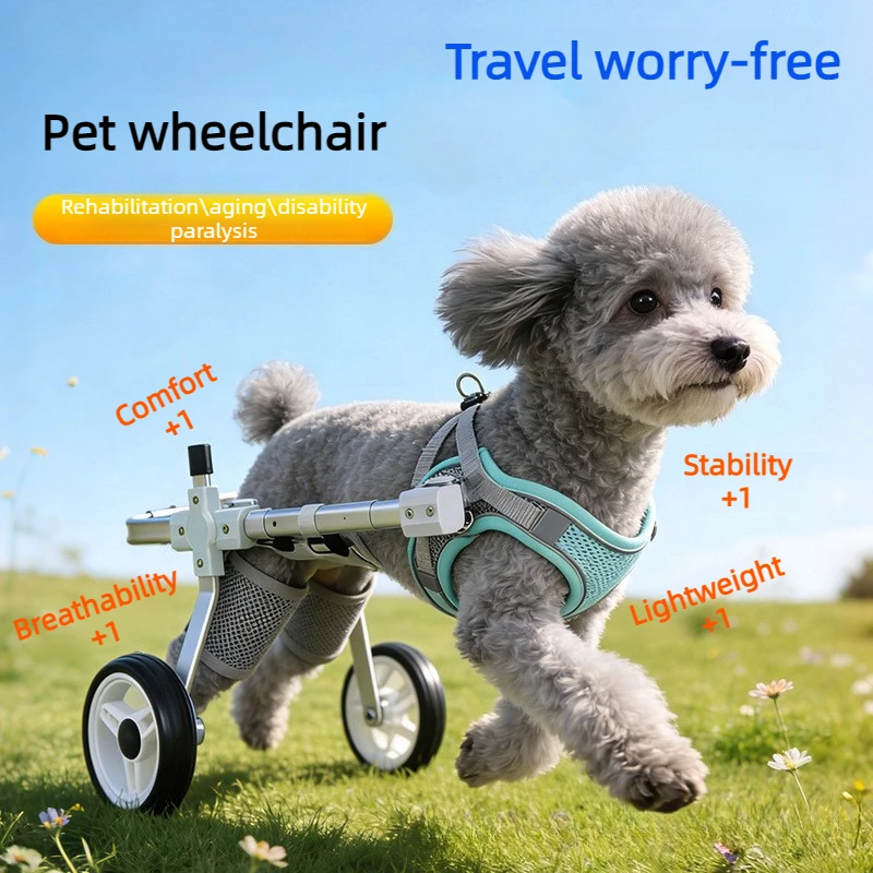 Silla de ruedas para perros con discapacidad en patas traseras - imagen 5