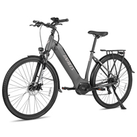 FAFREES FM9 Adults Electric Bicycle 250W Motor 36V15Ah Battery Max Speed 25km/h 700C*45C Tires Outdoor City Commuter E-bike 