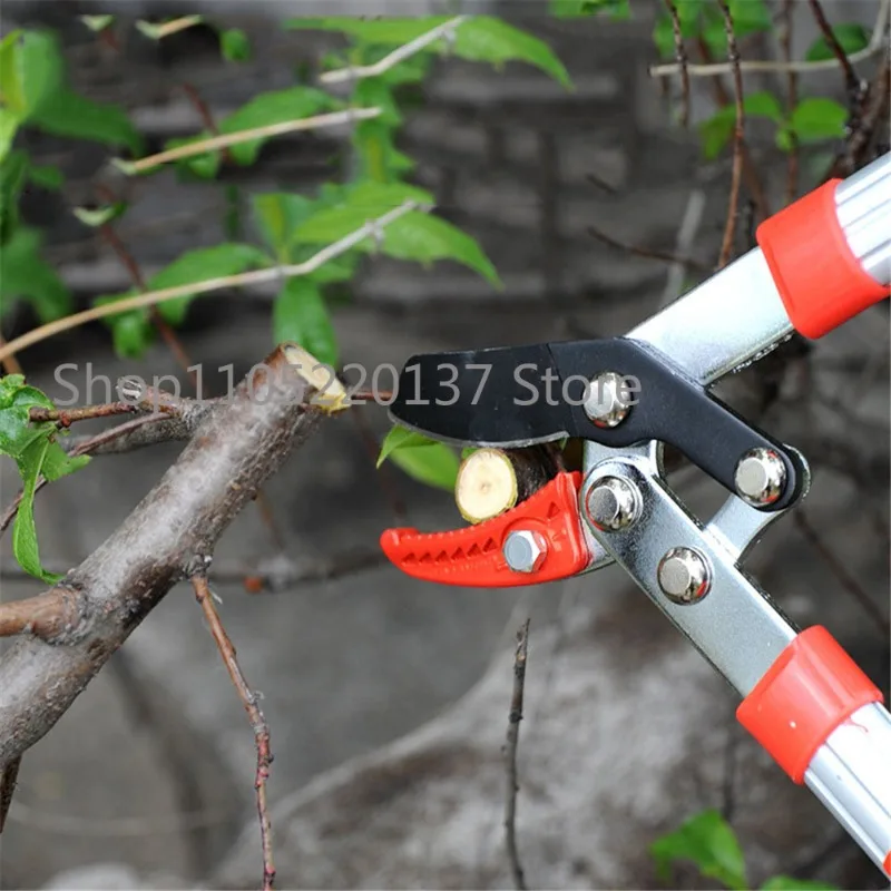 Pruning Tools Scissors Tree Ratchet Lopper Pruner Extending Garden Cutter Branch Shear Garden Hand Tools Gardening